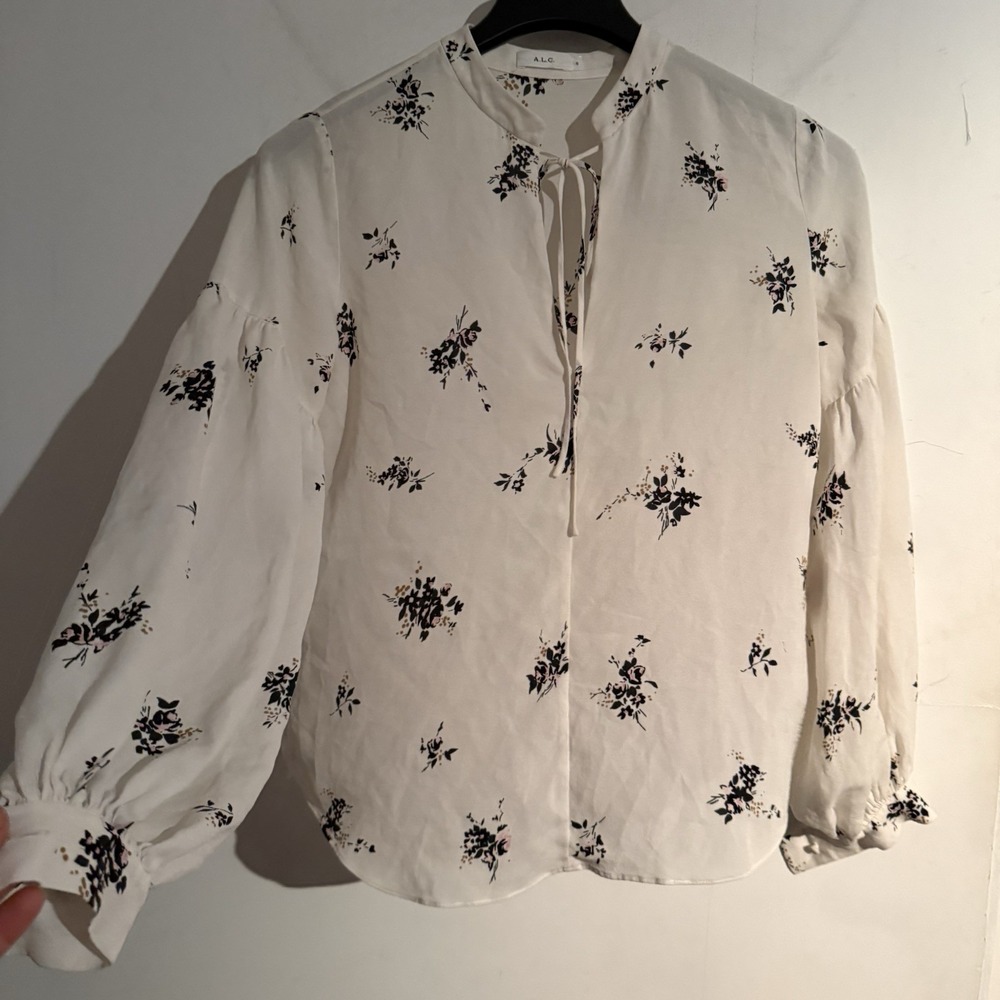 ALC Ty 6 Lantern Sleeve Top Floral Silk Peasant Boho Festival Cassie Good Witch